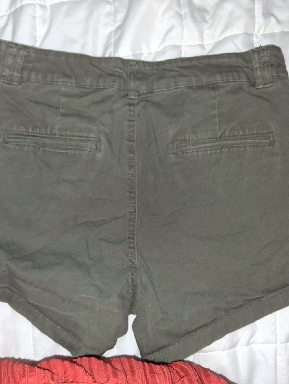 Ambiance Olive Green Flat-Front Men's Shorts